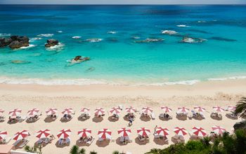 Bermuda Endless Summer