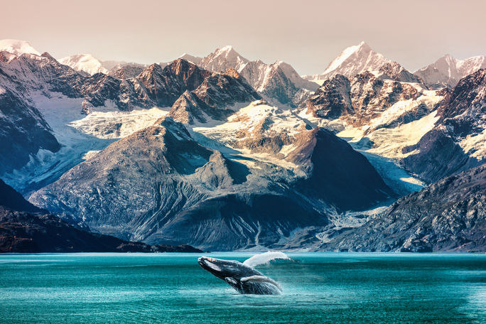 Alaska Inside Passage Mountain Range Alaska Inside Passage Mountain Range