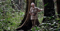 Dr. Jane Goodall