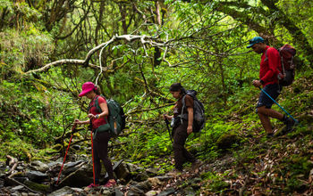 Community Homestay hiking