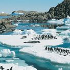 Approach Tours announced the launch of an 18-day Argentina & Antarctica itinerary