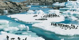 Approach Tours announced the launch of an 18-day Argentina & Antarctica itinerary