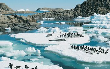Approach Tours announced the launch of an 18-day Argentina & Antarctica itinerary