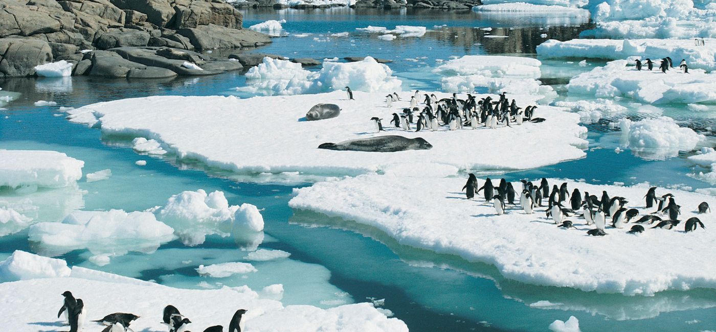 Image: Approach Tours announced the launch of an 18-day Argentina & Antarctica itinerary (Photo Credit: Approach Tours)