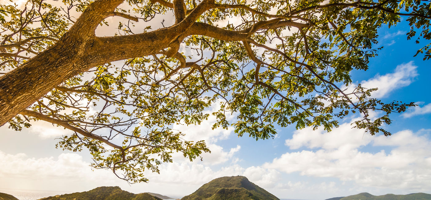 Image: La baie des Saintes (Source: Guadeloupe Islands Tourism Board)