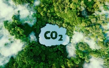 Carbon dioxide emissions and its impact on nature