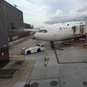 delta, plane, airplane, airplanes,