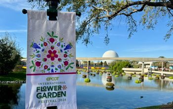walt disney world, florida, orlando, epcot, flower and garden festival, family fun, topiaries, food, travel, around the world, international cuisine and dishes