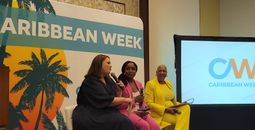 CTO cruise panel