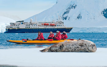 Lindblad Expeditions-National Geographic, seals, animals, expedition cruise, Antarctica, antarctica cruise
