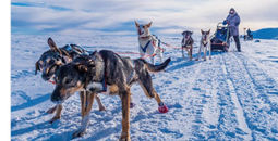 Save now by booking your 2025/2026 Norway adventure early