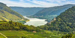 The Danube River
