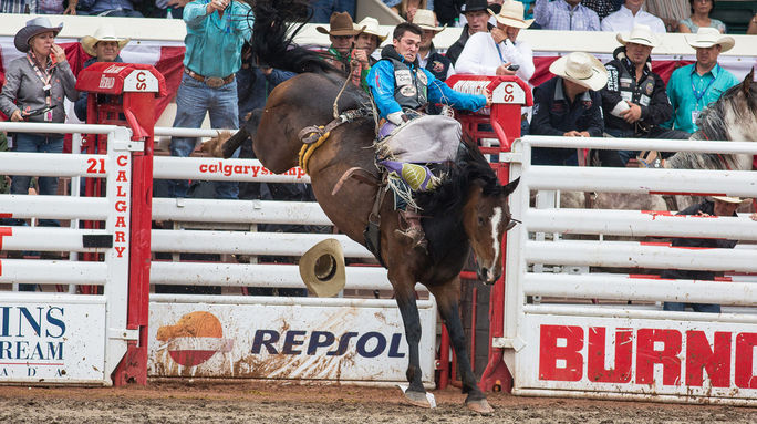 Calgary Stampede, Insights