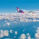 Hawaiian Airlines plane.