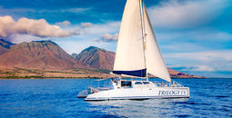Hawai'i Tourism Authority, Trilogy Excursions, Qurator