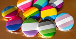 Inclusivity and diversity buttons