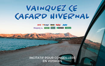 cafard hivernal