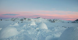 World of Greenland igloos