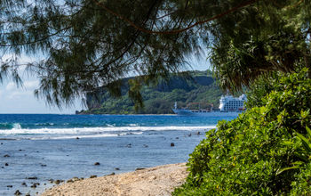 A cargo and passenger ship anchored in a cove with a beach in the foreground