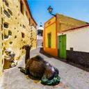 Meet Gran Canaria: The Miniature Continent