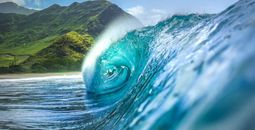 Takeoff to Hawaii with Classic Vacations®