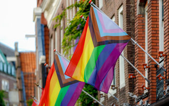 New pride flags