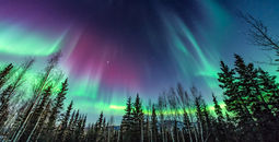 Purple and green aurora in Fairbanks, Alaska