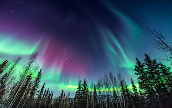 Purple and green aurora in Fairbanks, Alaska