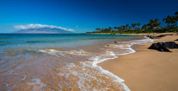 Hawaii Unveils April 2026 Visitors Statistics Report