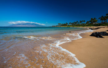 Hawaii Announces 3 Executive Appointments