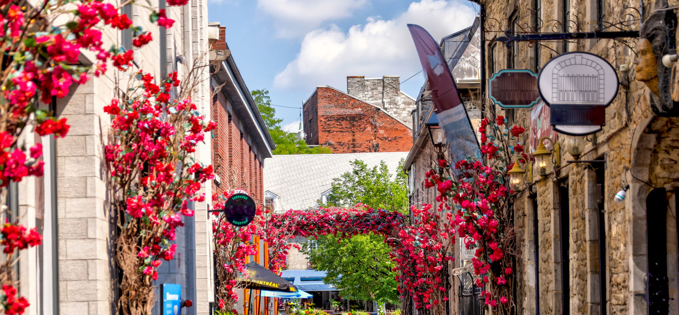 Image: Alleys and cobblestone roads in Old Montreal (Photo Credit: Adobe Stock)