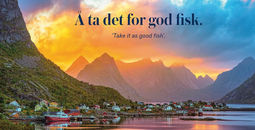 One of the images from Hurtigruten's new "Norwegianess" brand campaign