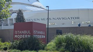 Seven Seas Navigator in Istanbul