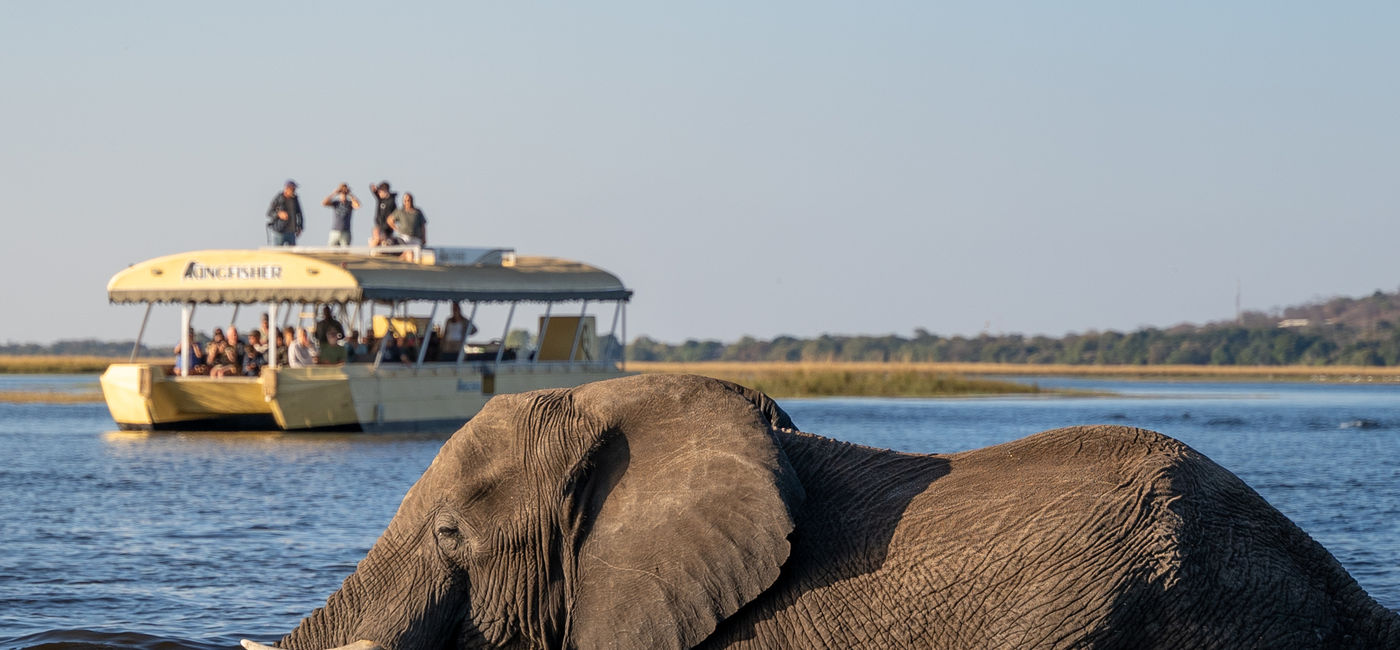 Image: Les éléphants devraient être observés uniquement à distance, dans leur habitat naturel (Source: Collette)