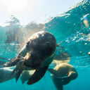 Discovering Baja California Sur: Nature, History and Gastronomy