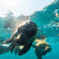 Discovering Baja California Sur: Nature, History and Gastronomy