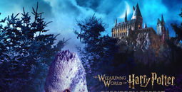 Universal Studios Hollywood Debuts Forbidden Forest: Search for the Hippogriff