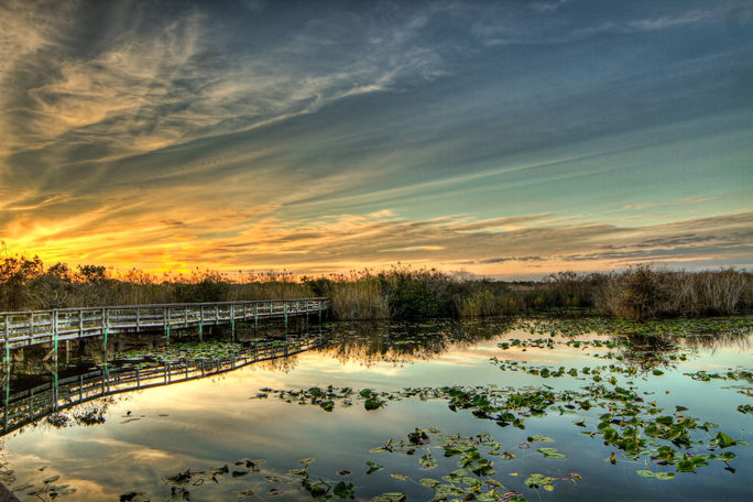 Anhinga Trail in Everglades National Park