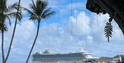 Ruby Princess from Reeds Bay Beach Park in Hilo, Hawaii