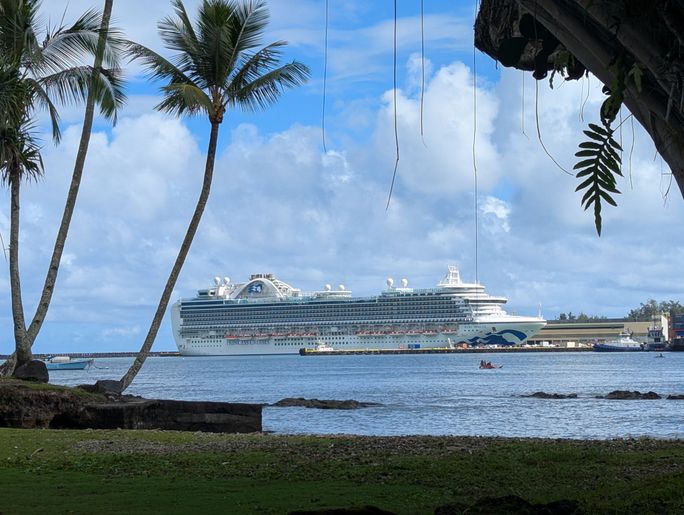 Ruby Princess from Reeds Bay Beach Park in Hilo, Hawaii