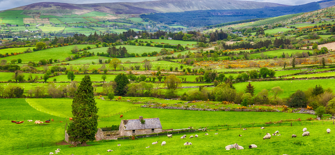 Image: The charming Irish countryside. (photo via iStock/Getty Images Plus/espiegle)