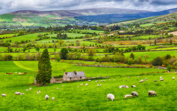 The charming Irish countryside.