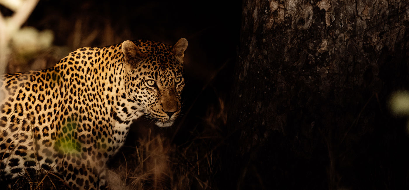 Image: Selara Africa Safari (Photo Credit: Selara Africa)