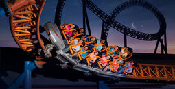 Hersheypark in the Dark