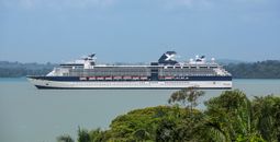 Celebrity Infinity