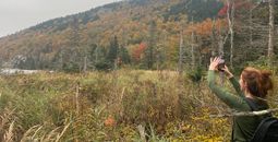 White Mountain National Forest, New Hampshire