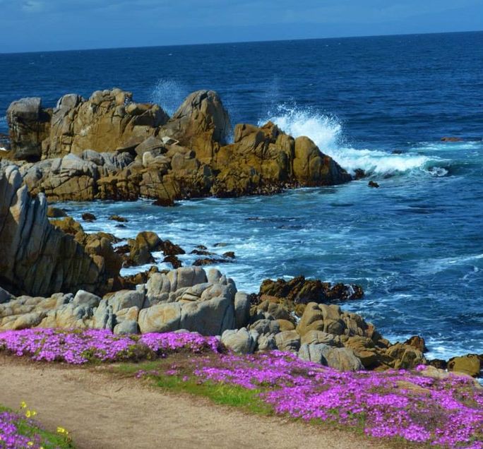 Pacific Grove, California Pacific Grove, California