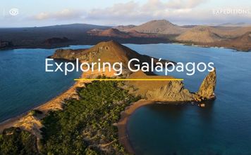 Discover the Wonders of the Galápagos on Expedition