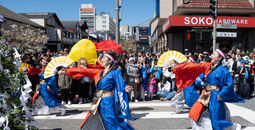 Northern California Cherry Blossom Festival, Japan town,