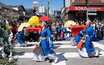 Northern California Cherry Blossom Festival, Japan town,